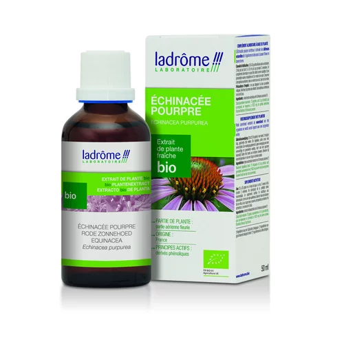 Côté végétal：Echinaforce echinacee pourpe flacon 50ml