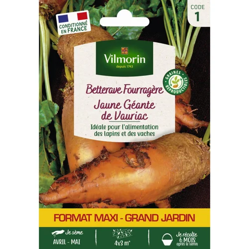 Pour équiper vos extérieurs:Sachet de graines de betterave fourragère jaune géante de Vauriac format économique