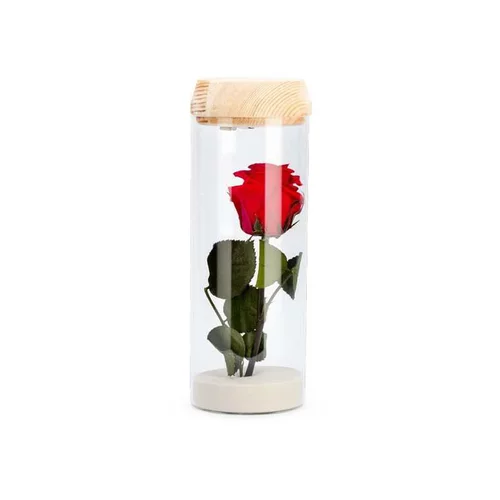 Le pratique au jardin:Verrine tube light rouge taille L Ø 8 x H 23 cm