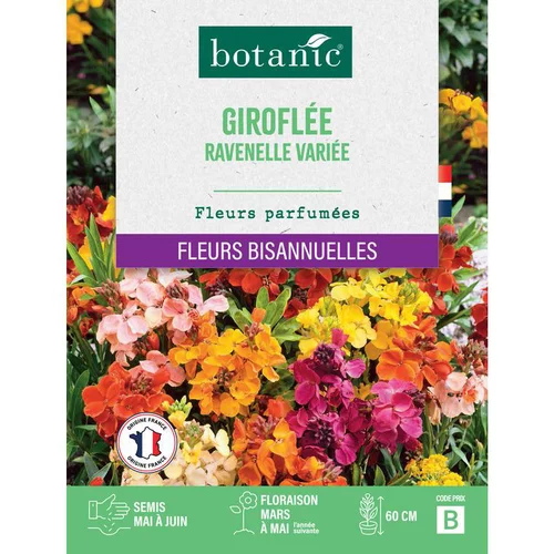 Bien pensé pour le jardin：Graines de fleurs Giroflée ravenelle variée botanic®