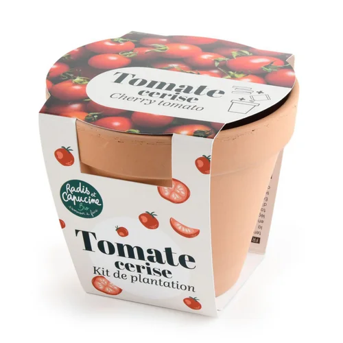 Pour votre quotidien：Pot en terre cuite antique avec graines de tomate cerise bio Radis & Capucine