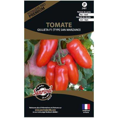 Graines potagères premium tomate (Giulieta)