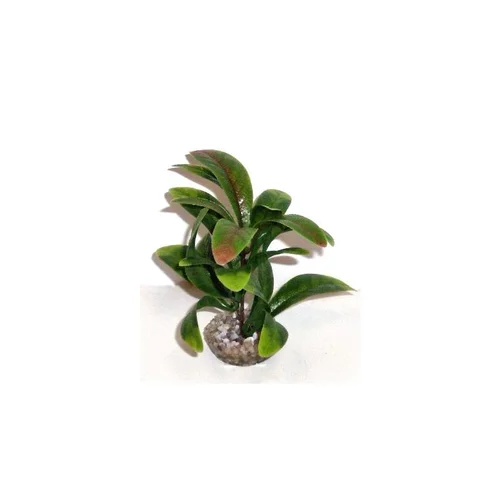 Une touche pratique au jardin:Anubias vert en plastique 13 cm