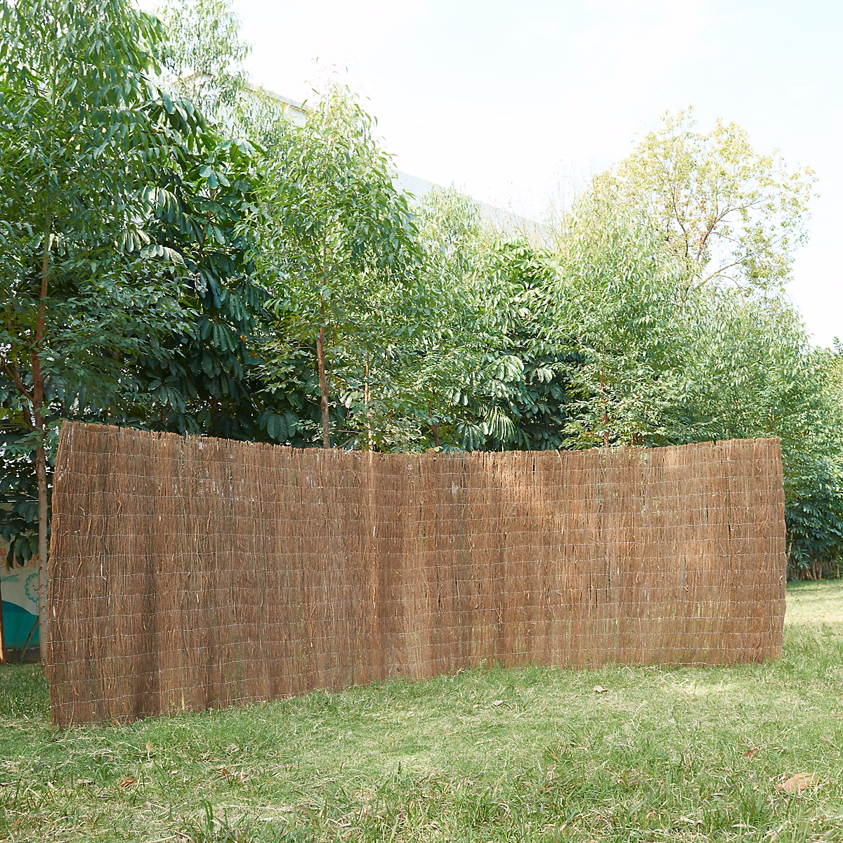Brise – vue en brande de bruyère Brielle 1, 5 kg / m² 500 × 200 cm casa.pro