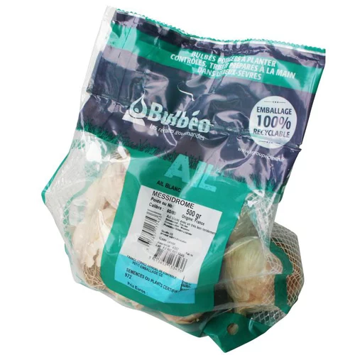 L’allié du jardin:Ail blanc messidrome filet de 500 g calibre 60+