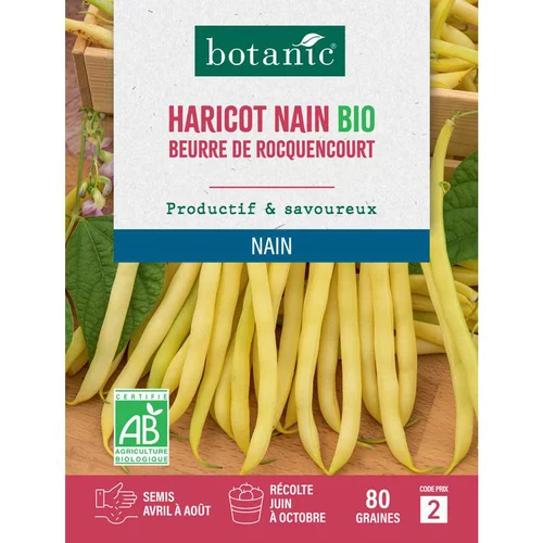 Idée jardin:Graines d'haricot nain beurre de rocquencourt bio botanic® - graines nain semer