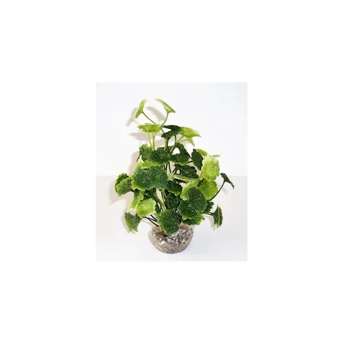 Équipement pour le jardin:Hydrocolite vert en plastique 19 cm