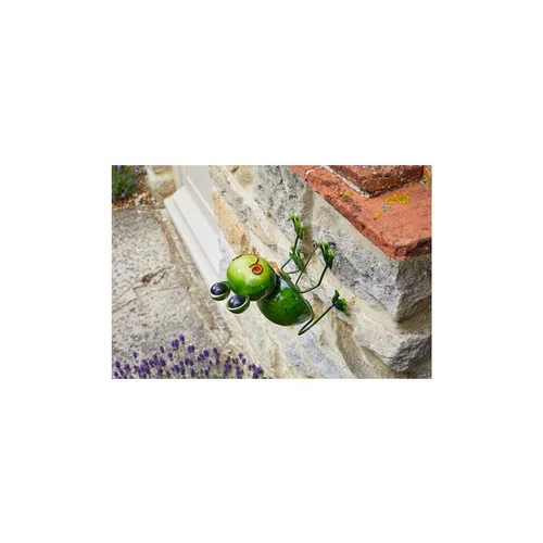 Jardin & maison：Funkee Frog Large