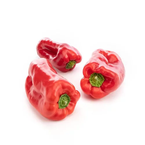 Jardin en pratique:Poivrons rouges biologiques - prix au kg