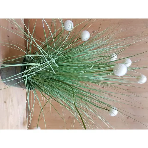Idée au jardin：Graminée pompon blanche artificielle en PVC x 30 - 36 x 7,5 x 105 cm