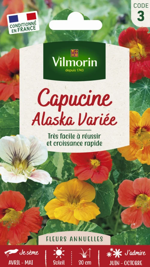 Style extérieur：Capucine Alaska Variée Vilmorin - graines à semer