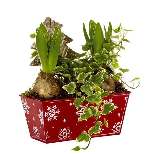 Accessoire extérieur：Composition de Noël jardinière zinc - La composition