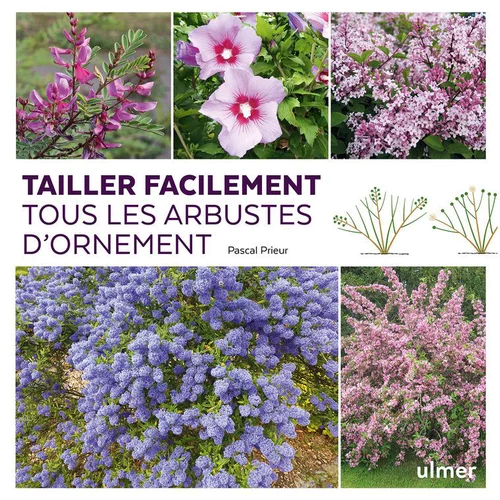 Moderne jardin:Tailler facilement tous les arbustes d'ornement aux éditions Ulmer