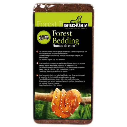 Choix utile：Humus de coco compressé pour terrarium coloris marron Reptile Planet Forest Bedding - 650 g