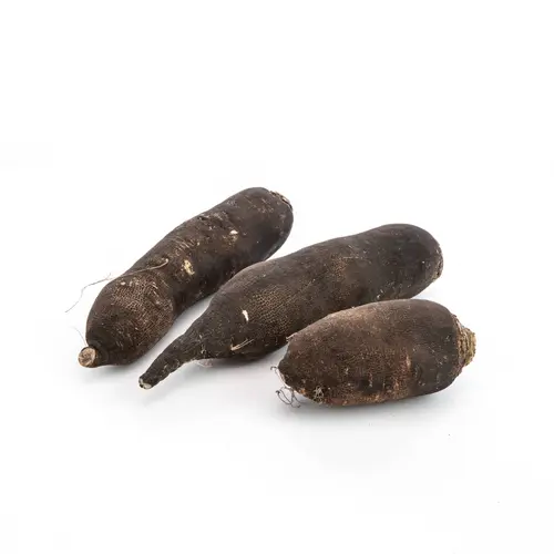Pour améliorer votre jardin：Radis noir bio - Prix au kg