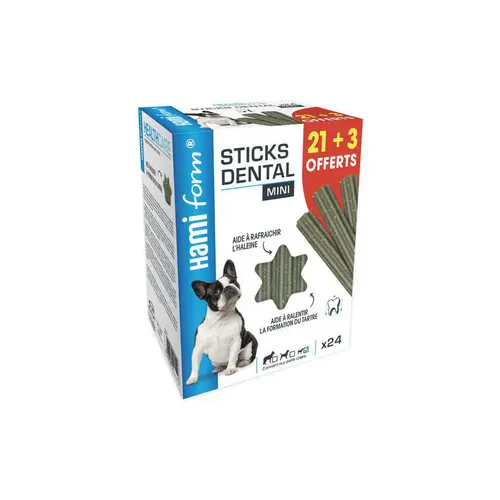 Pour un extérieur accueillant：Dental mini. La boite de 21+3