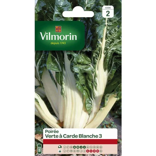 Style jardin：Graines de poirée verte à carde blanche Vilmorin - graines à semer