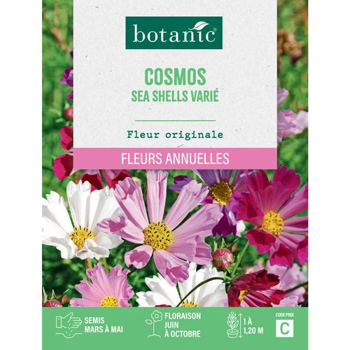 Esprit extérieur：Graines de fleurs de Cosmos sea shells varié botanic®
