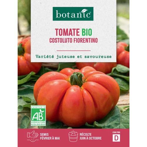 Au service de vos extérieurs：Graines de tomate costoluto fiorentino bio botanic® - graines costoluto semer