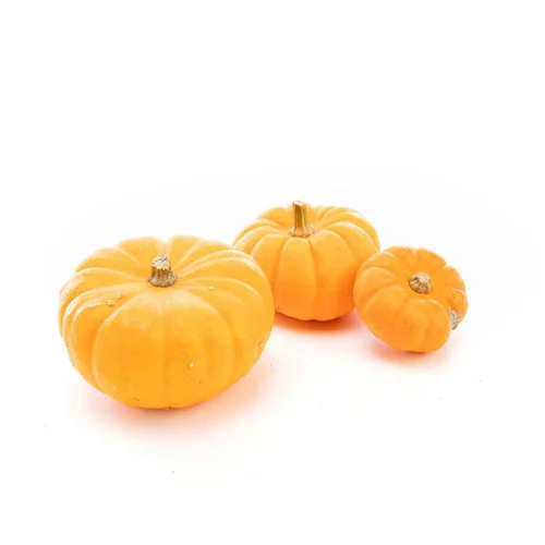 Tout au jardin:Courge Jack Be Little bio de France - Prix au kg