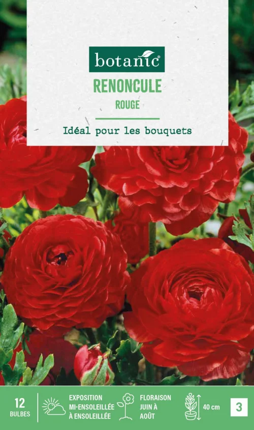 Pour plus de confort au jardin:Renoncule coloris rouge botanic® - 12 bulbes