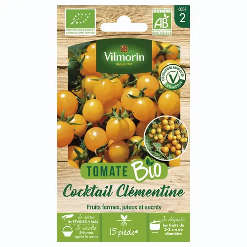 Extérieur sélection：Tomate Cocktail Clémentine Bio Vilmorin - graines à semer