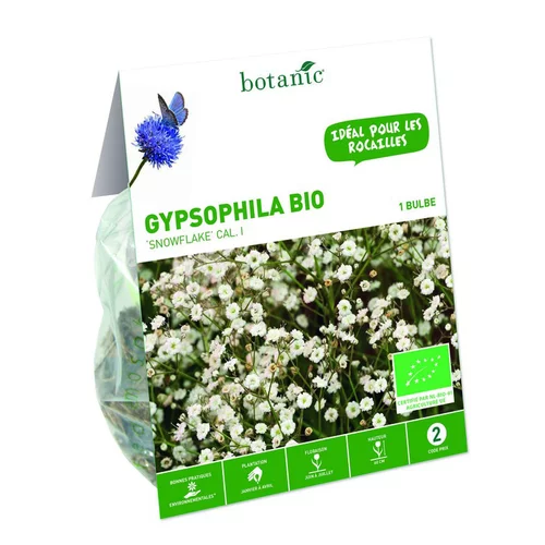 Une solution pour l’extérieur：Gypsophile Paniculata Snowflake bio blanc botanic® - 1 bulbe