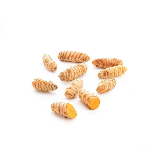 Pour équiper le jardin:Curcuma bio du Pérou - prix au kg