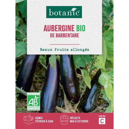 Parfait au jardin:Graines d’Aubergine de Barbentane bio botanic® - graines à semer