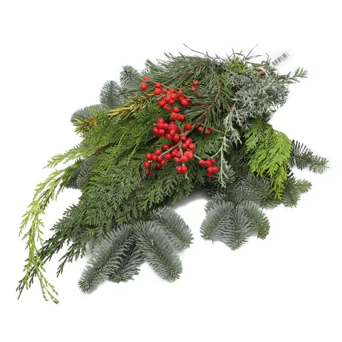 Mon jardin:Bouquet de conifères mix avec ilex coloris vert - 5 tiges