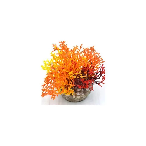 La solution pour votre jardin：Corail coloré orange en plastique 12 x 10 cm