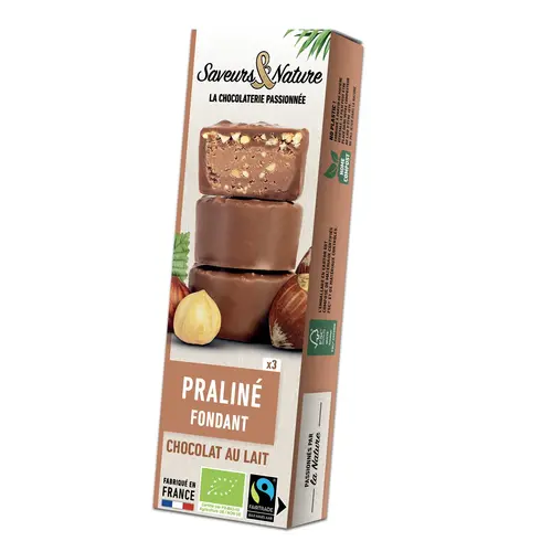 Idée au jardin:Minis rochers pralinés noisette enrobés de chocolat au lait 45 g
