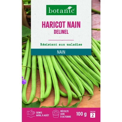 Nature pratique：Graines de haricot nain delinel extra-fin sans fil botanic® - graines à semer