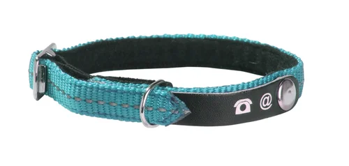 Univers végétal：Collier pour chat coloris bleu turquoise Bobby Lost