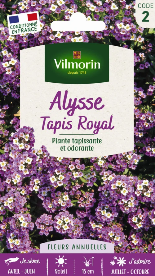 Loisirs jardin：Alysse Tapis Royal Vilmorin - graines à semer