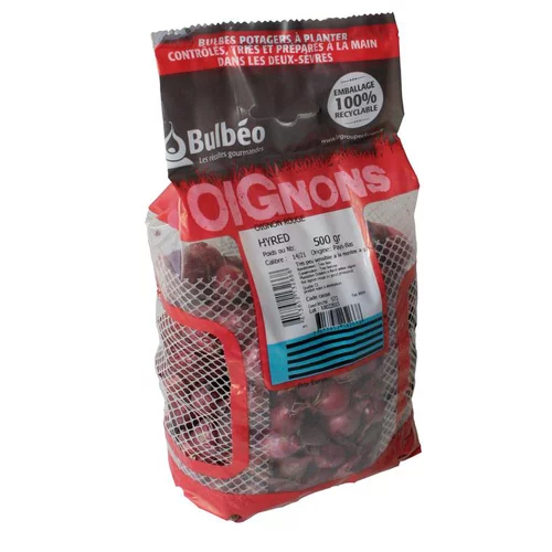 Pour votre espace extérieur:Bulbes d’oignons rouge hyred 500 g