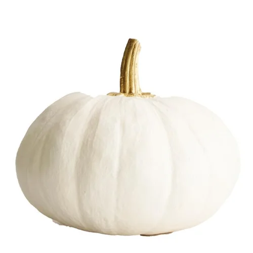 Pour un jardin plus agréable：Citrouille coloris blanc en polyrésine - Ø 15 cm