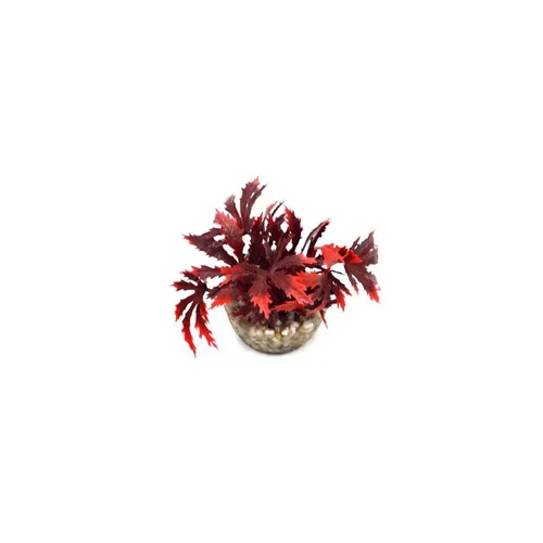 Bien pratique à l’extérieur:Papyrus rouge en plastique 8 cm