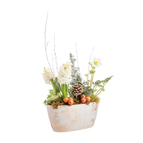 Autour du jardin：Composition de jacinthe et hellébore en pagode or