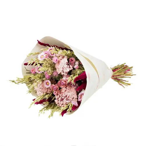 Équipement extérieur：Bouquet de fleurs séchées Naturalys Dandy rose - Ø 25/30 x H 50 cm