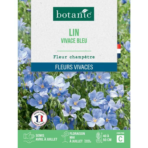 Facile au jardin：Graines de lin vivace bleu botanic® - graines à semer