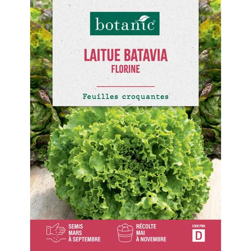 Un choix pratique pour le jardin:Graines de laitue batavia florine botanic® - graines à semer