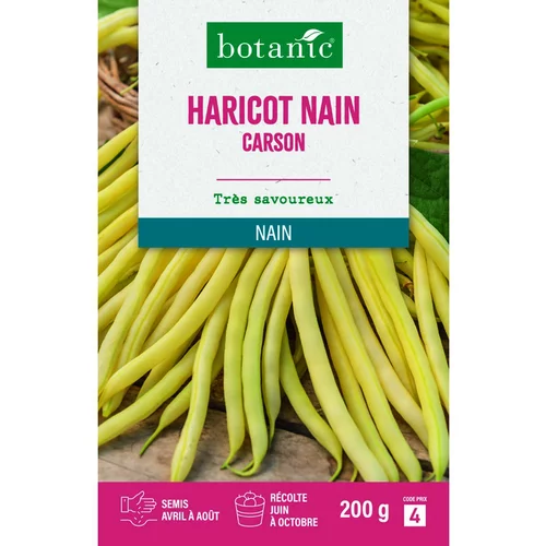Pour un extérieur plus agréable:Graines d'haricot nain carson botanic® - graines à semer 200 g