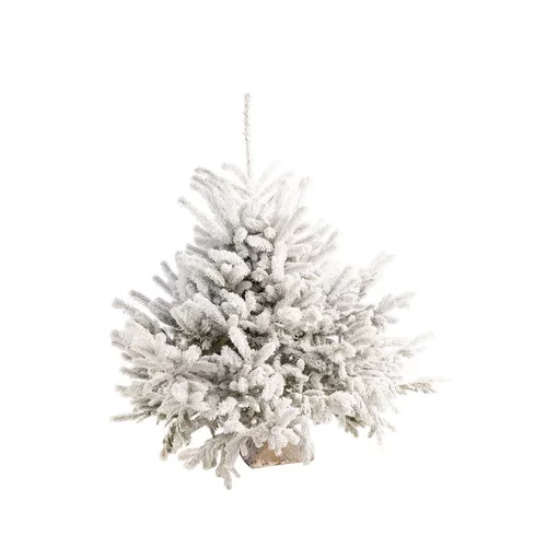 Votre allié au jardin：Sapin de Noël naturel blanc effet enneigé Diamant Robin® - 40 à 60 cm