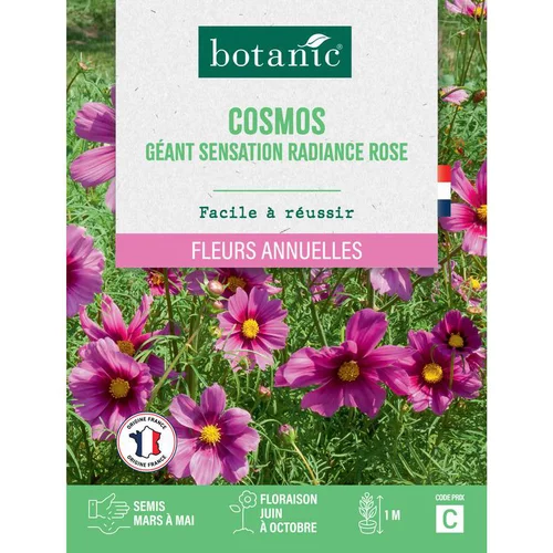 Jardin fonctionnel:Graines de fleurs de Cosmos géant Sensation radiance rose botanic®