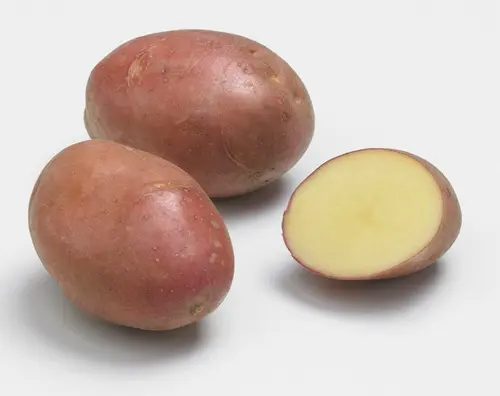 Idée pour le jardin:Sachet de pommes de terre desiré calibre 28/35 - 1,5 kg