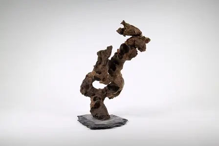 Style extérieur：Décoration pour aquarium Aquadeco Congo Tree grand modèle - 35 cm