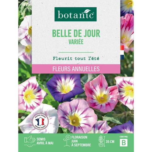 Extérieur essentiel：Graines de fleurs Belle de jour variée botanic®