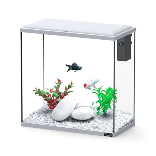 Équipement pour le jardin：Aquarium d'eau froide et d'eau douce coloris gris Aquatlantis Explorer Dublin - H 40 x P 20 x L 40 cm