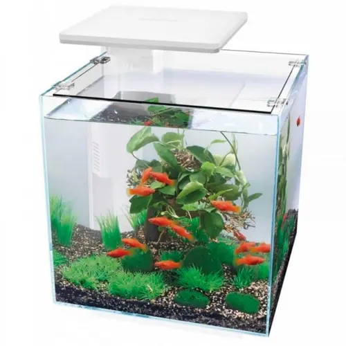 Une sélection pensée pour l’extérieur:Aquarium équipé blanc, SUPERFISH Qubiq 30 PRO - 30L